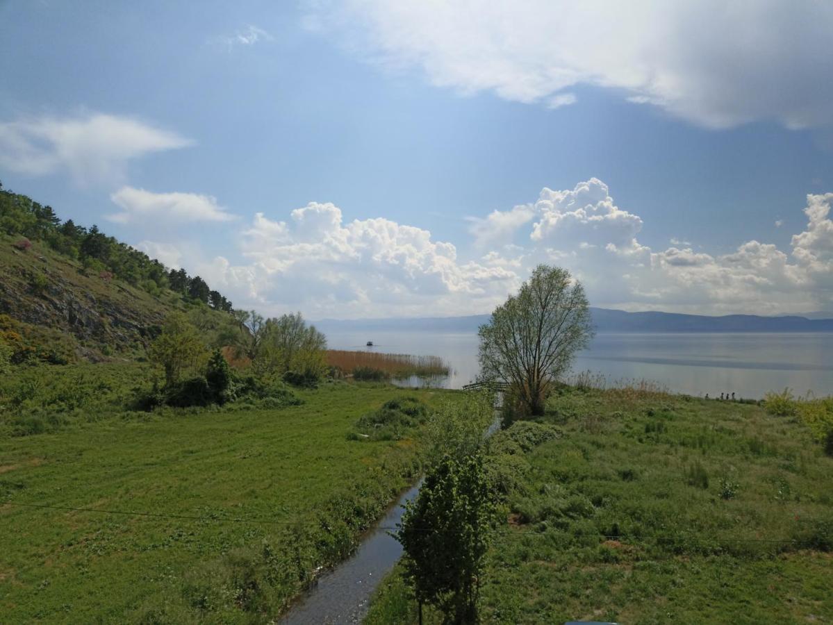 Vila Sara Bed & Breakfast Ohrid Exterior photo