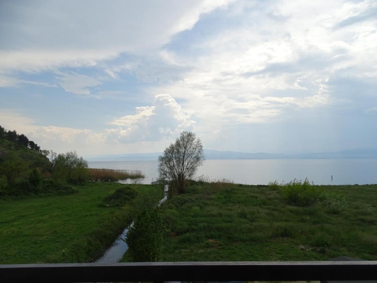 Vila Sara Bed & Breakfast Ohrid Exterior photo